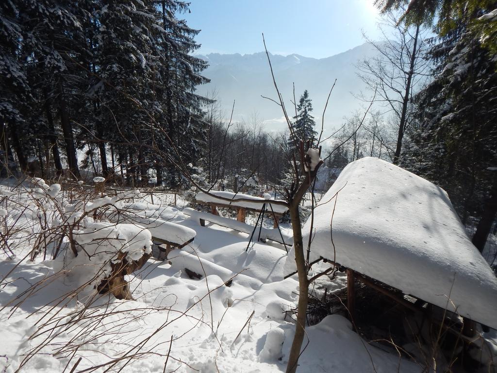 Chata Stacha Villa Zakopane Esterno foto