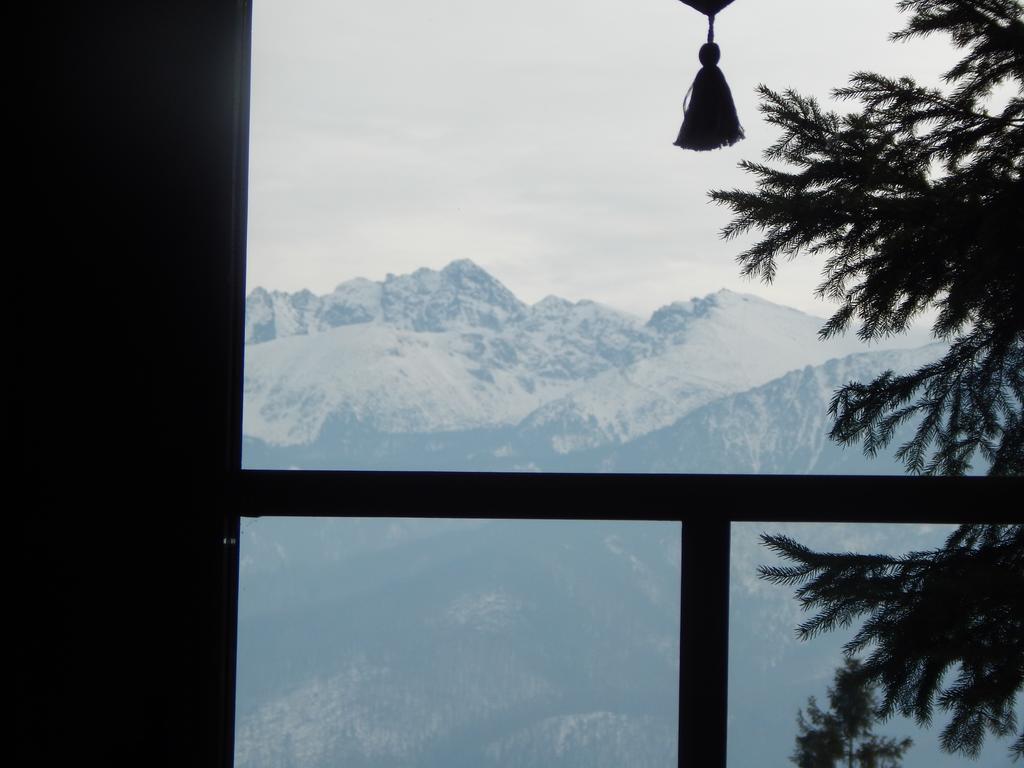 Chata Stacha Villa Zakopane Esterno foto